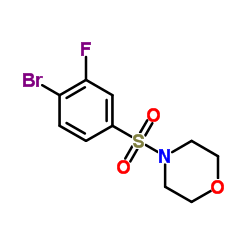 4-((4-溴-3-氟苯基)磺酰)吗啉图片