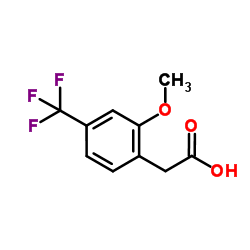 2-Methoxy-4-(trifluoromethyl)phenylacetic acid结构式