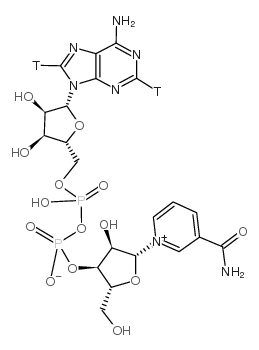 107688-05-1结构式