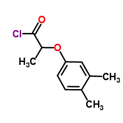 2-(3,4-Dimethylphenoxy)propanoyl chloride结构式