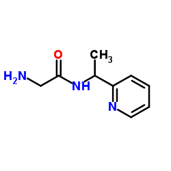 N-[1-(2-Pyridinyl)ethyl]glycinamide Structure