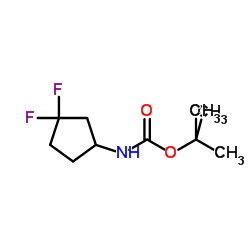 tert-Butyl (3,3-difluorocyclopentyl)carbaMate structure