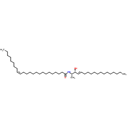 C24:1 1-Deoxyceramide (m18:1/24:1(15Z)) structure