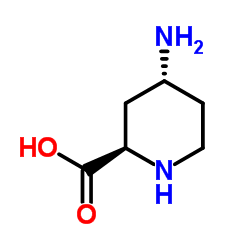 (2R,4R)-4-Amino-2-piperidinecarboxylic acid结构式