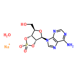 Adenosine, cyclic2',3'-(hydrogen phosphate), monosodium salt (9CI) structure