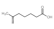 6-METHYL-6-HEPTENOIC ACID structure