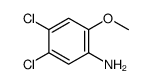 4,5-二氯-2-甲氧基苯胺结构式