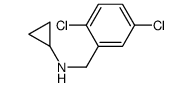 Cyclopropyl-(2,5-dichloro-benzyl)-amine picture