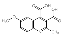 6-methoxy-2-methyl-quinoline-3,4-dicarboxylic acid structure