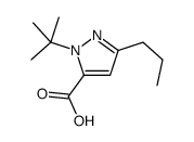 1-(2-Methyl-2-propanyl)-3-propyl-1H-pyrazole-5-carboxylic acid Structure