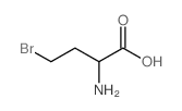 2-Amino-4-bromobutanoic acid Structure