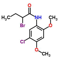 2-Bromo-N-(5-chloro-2,4-dimethoxyphenyl)butanamide结构式