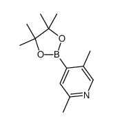 2,5-dimethyl-4-(4,4,5,5-tetramethyl-1,3,2-dioxaborolan-2-yl)pyridine picture