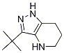 3-tert-butyl-4,5,6,7-tetrahydro-1H-pyrazolo[4,3-b]pyridine structure