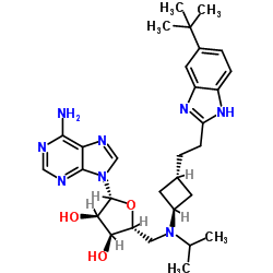 F66X4M38G5 Structure