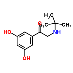 2-(tert-butylamino)-1-(3,5-dihydroxyphenyl)ethanone picture