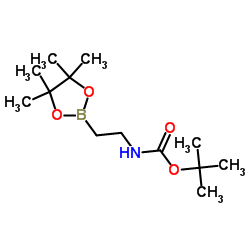 tert-butyl 2-(4,4,5,5-tetramethyl-1,3,2-dioxaborolan-2-yl)ethylcarbamate structure