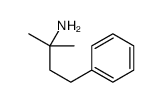 2-methyl-4-phenylbutan-2-amine结构式