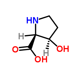 (3S)-3-Hydroxy-L-proline picture