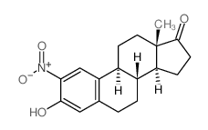 (8S,9S,13S,14S)-3-hydroxy-13-methyl-2-nitro-7,8,9,11,12,14,15,16-octahydro-6H-cyclopenta[a]phenanthren-17-one structure