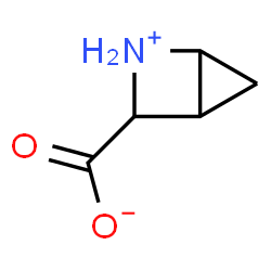 2-Azabicyclo[2.1.0]pentane-3-carboxylic acid structure