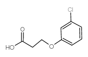 3-(3-Chlorophenoxy)propionic Acid picture