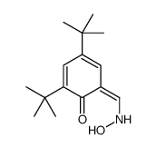 2,4-ditert-butyl-6-[(hydroxyamino)methylidene]cyclohexa-2,4-dien-1-one Structure