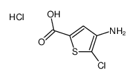 4-amino-5-chlorothiophene-2-carboxylic acid,hydrochloride Structure