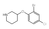 3-(2-bromo-4-chlorophenoxy)piperidine结构式