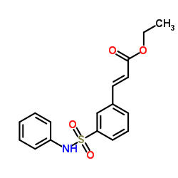 (E)-3-(3-phenylsulfamoyl-phenyl)-acrylic acid ethyl ester structure
