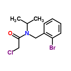 N-(2-Bromobenzyl)-2-chloro-N-isopropylacetamide结构式