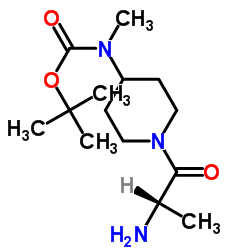 2-Methyl-2-propanyl (1-alanyl-4-piperidinyl)methylcarbamate结构式
