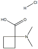 1-(dimethylamino)cyclobutane-1-carboxylicacidhydrochloride Structure