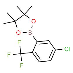 5-Chloro-2-(trifluoromethyl)phenylboronic acid pinacol ester Structure