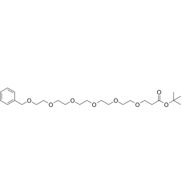 Benzyl-PEG6-t-butyl ester structure