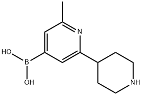 2-Methyl-6-(piperidin-4-yl)pyridine-4-boronic acid结构式