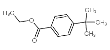 Benzoic acid,4-(1,1-dimethylethyl)-, ethyl ester picture