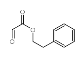 2-phenylethyl 2-oxoacetate Structure