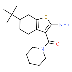 6-TERT-BUTYL-3-(PIPERIDIN-1-YLCARBONYL)-4,5,6,7-TETRAHYDRO-1-BENZOTHIEN-2-YLAMINE图片