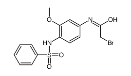 N-[4-(benzenesulfonamido)-3-methoxyphenyl]-2-bromoacetamide结构式