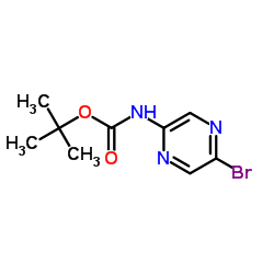 tert-Butyl (5-bromopyrazin-2-yl)carbamate picture