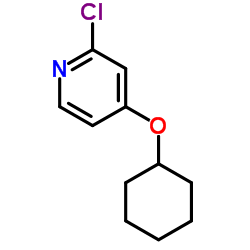 2-Chloro-4-(cyclohexyloxy)pyridine Structure