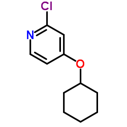 2-Chloro-4-(cyclohexyloxy)pyridine图片