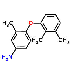 4-(2,3-Dimethylphenoxy)-3-methylaniline Structure