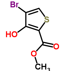Methyl 4-bromo-3-hydroxy-2-thiophenecarboxylate Structure