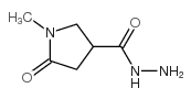 1-methyl-5-oxopyrrolidine-3-carbohydrazide结构式