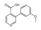 3-(3-methoxyphenyl)pyridine-4-carboxylic acid结构式