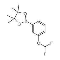 2-(3-(difluoromethoxy)phenyl)-4,4,5,5-tetramethyl-1,3,2-dioxaborolane structure