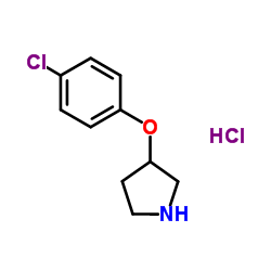 3-(4-Chlorophenoxy)pyrrolidine HCl picture