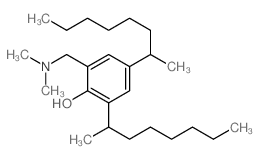 Phenol,2-[(dimethylamino)methyl]-4,6-bis(1-methylheptyl)- picture